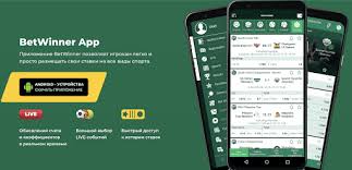 Aviator BetWinner Discover the Exciting World of Online Gambling