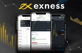 Comprehensive Guide to Exness Trading Instruments