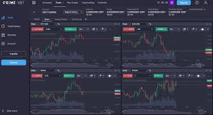 Complete Guide to Trading on PrimeXBT Brazil