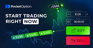Comprehensive Guide to Trading Platform Pocket Option 12