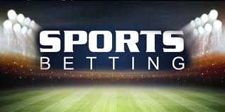 Dink Bet Your Ultimate Guide to Online Betting